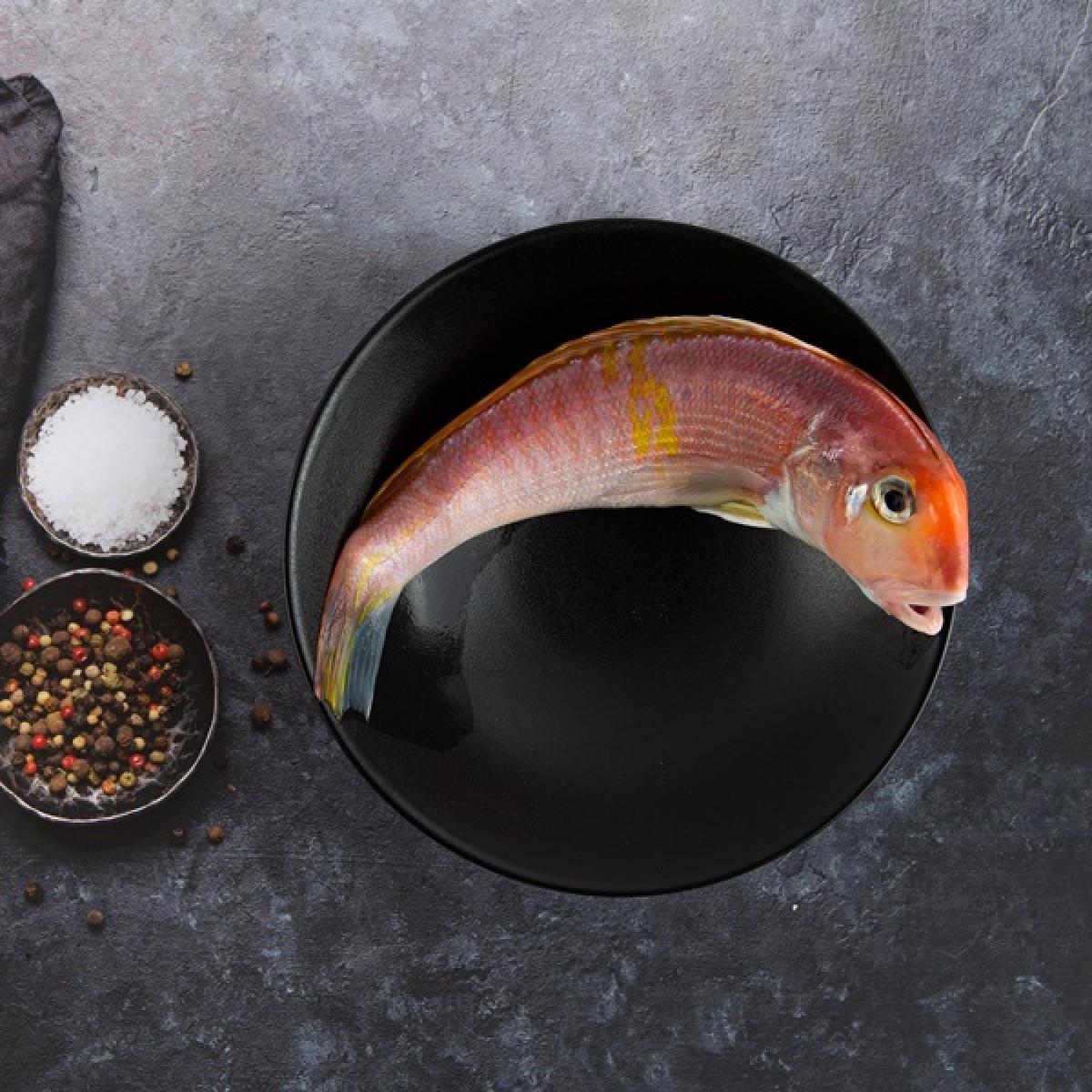 참옥돔(가정용) 소 1Kg 6마리