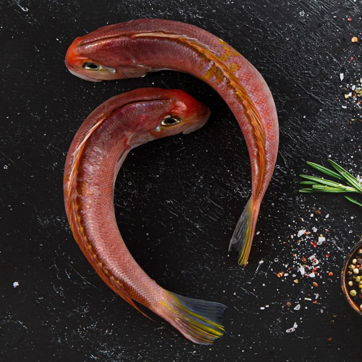 참옥돔(실속형) 1Kg 5마리 중
