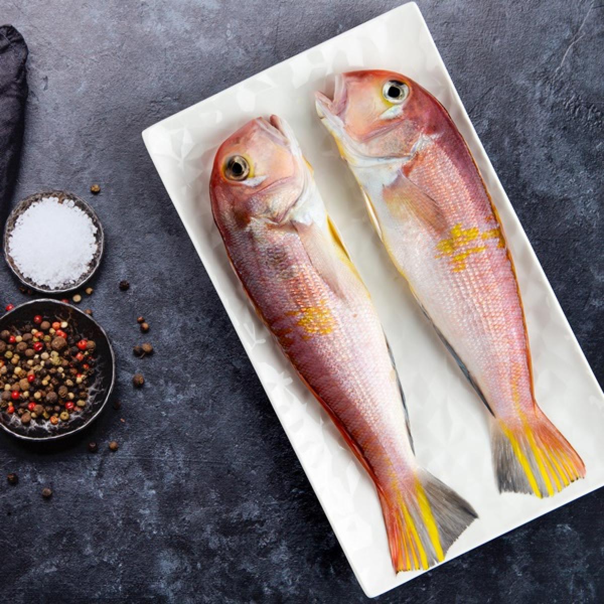 참옥돔(고급형) 1Kg 3마리 특대