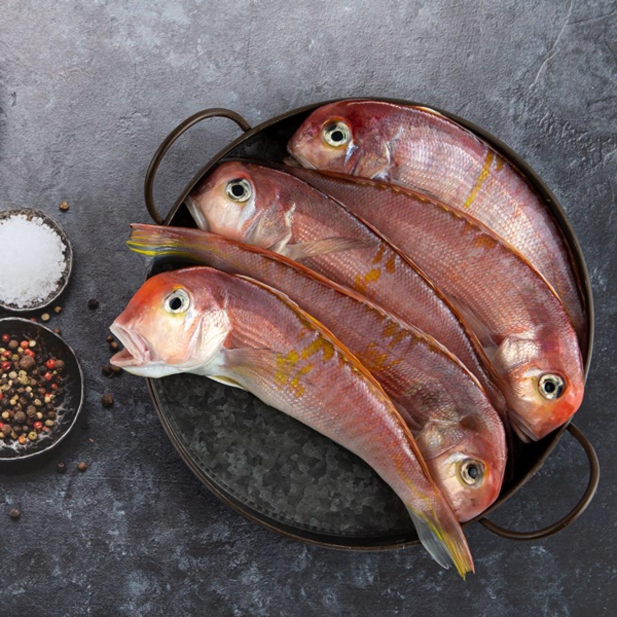 참옥돔(프리미엄) 1Kg 2마리 왕특대