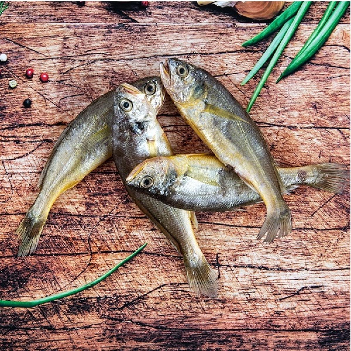 참조기(만족형) 1Kg 10~12마리 대