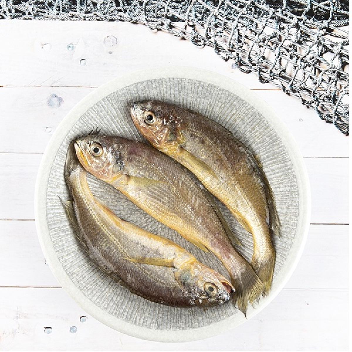 참조기(특변한정형) 2Kg 7~10마리 VVIP
