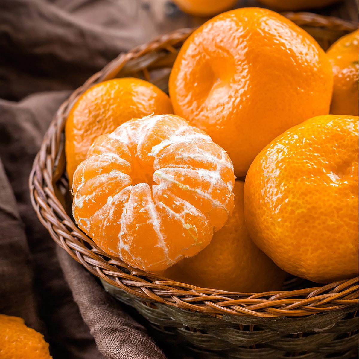 영희네농장 무농약인증 감귤 & 황금향