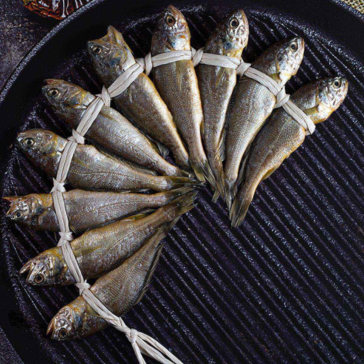 참굴비(감동형) 2호 40마리 18~19cm 대