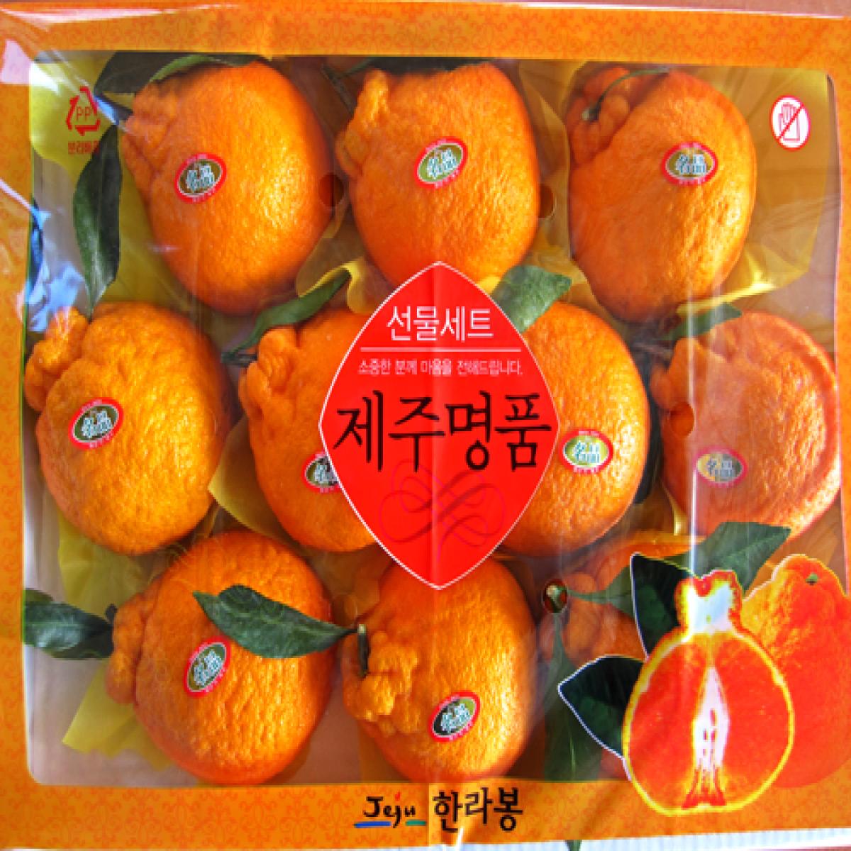 [최남단농장]선물용 제주명품 한라봉