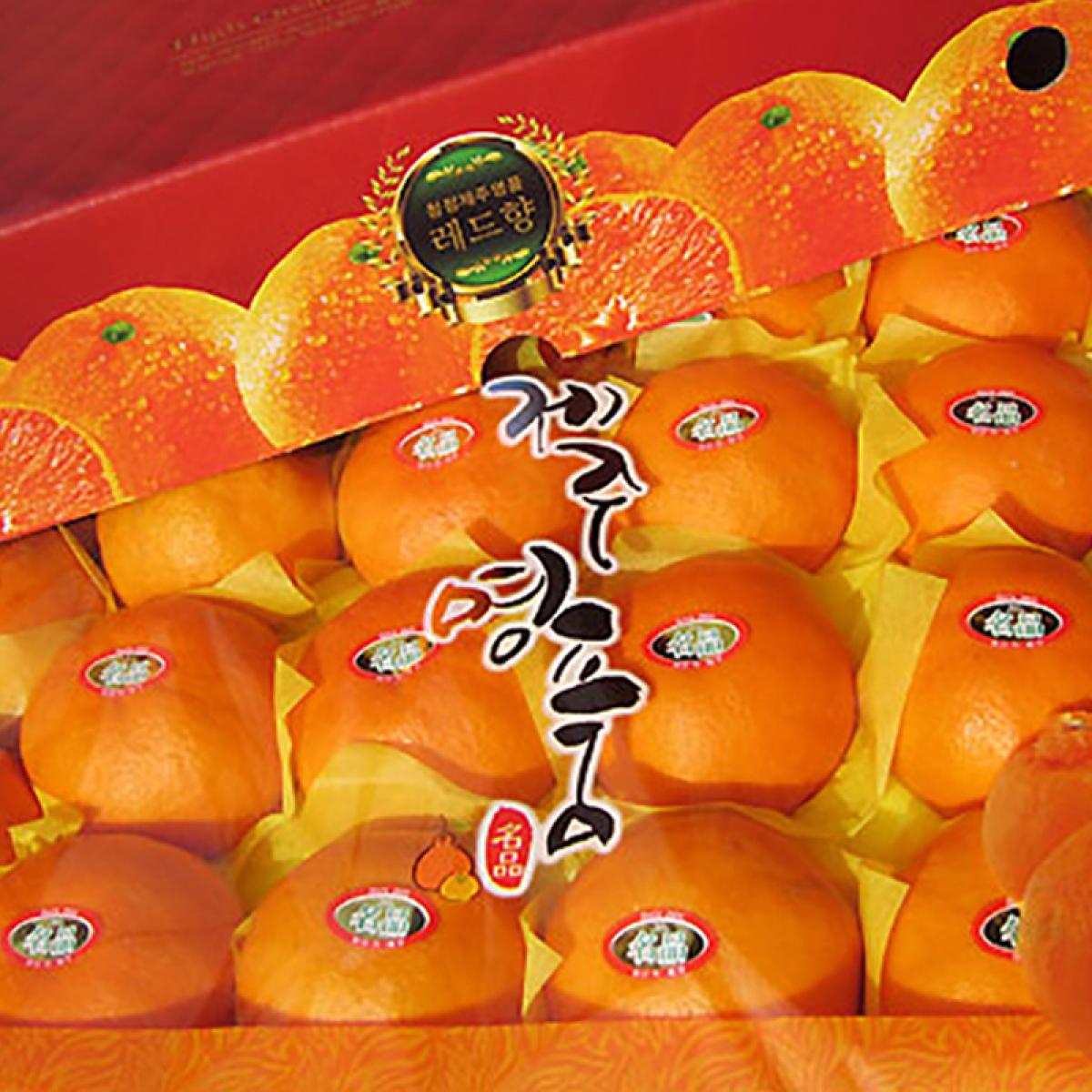 [최남단농장]선물용 제주명품 레드향