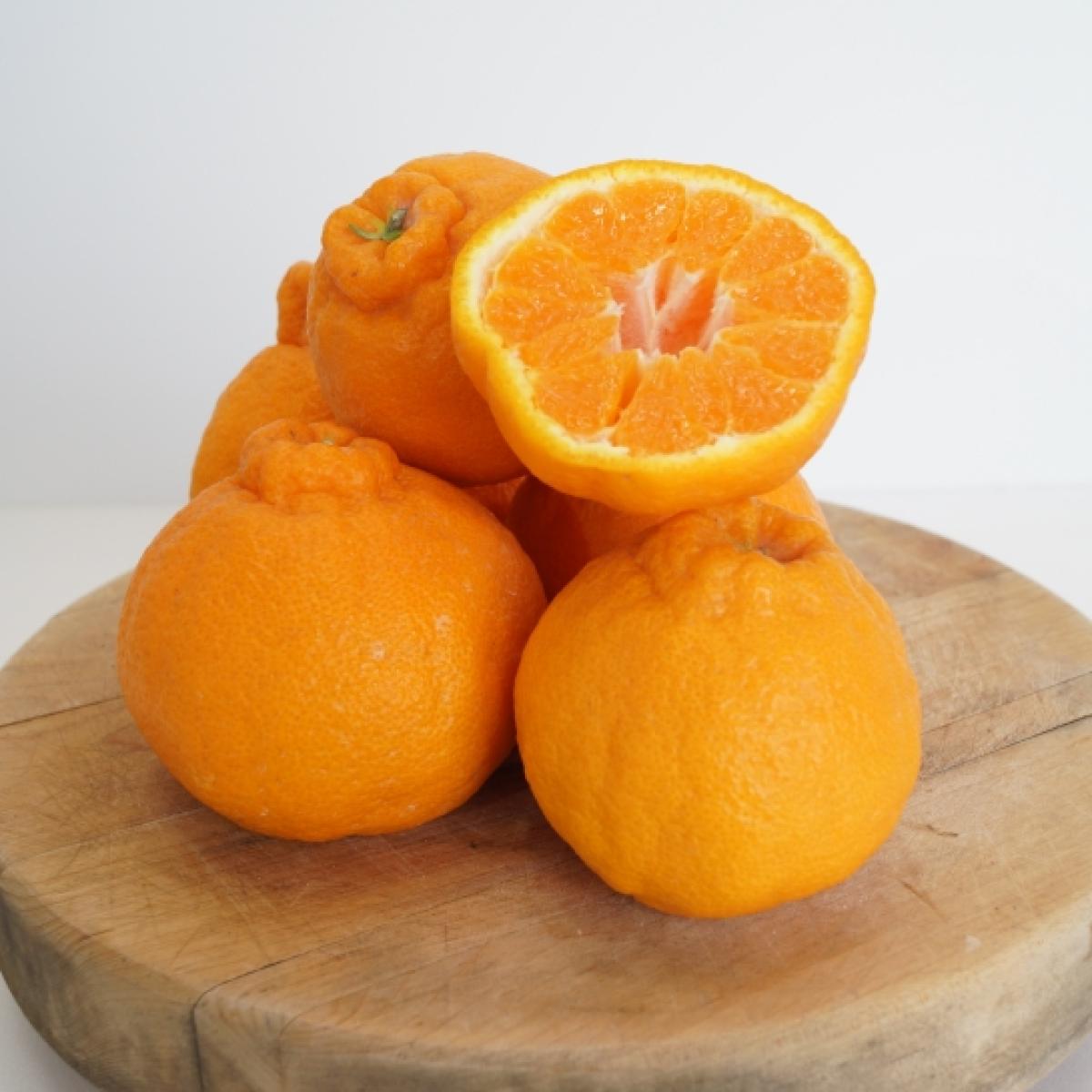 [유진팡] 제주 한라봉 2.5kg 4.5kg 가정용