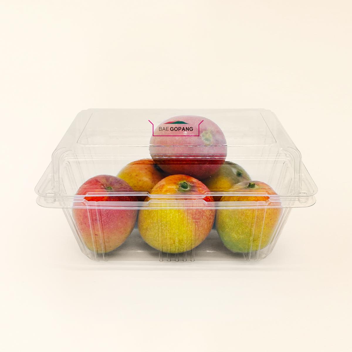 과일의 여왕 애플망고 미니 가정용 1kg