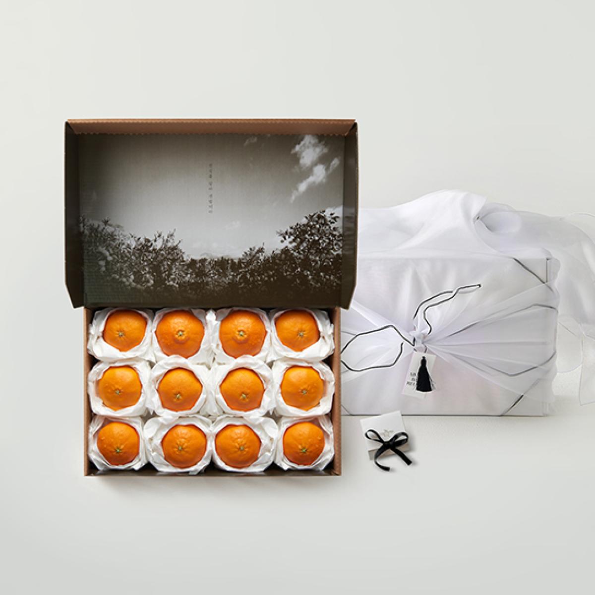 [프리미엄]레드향 선물세트