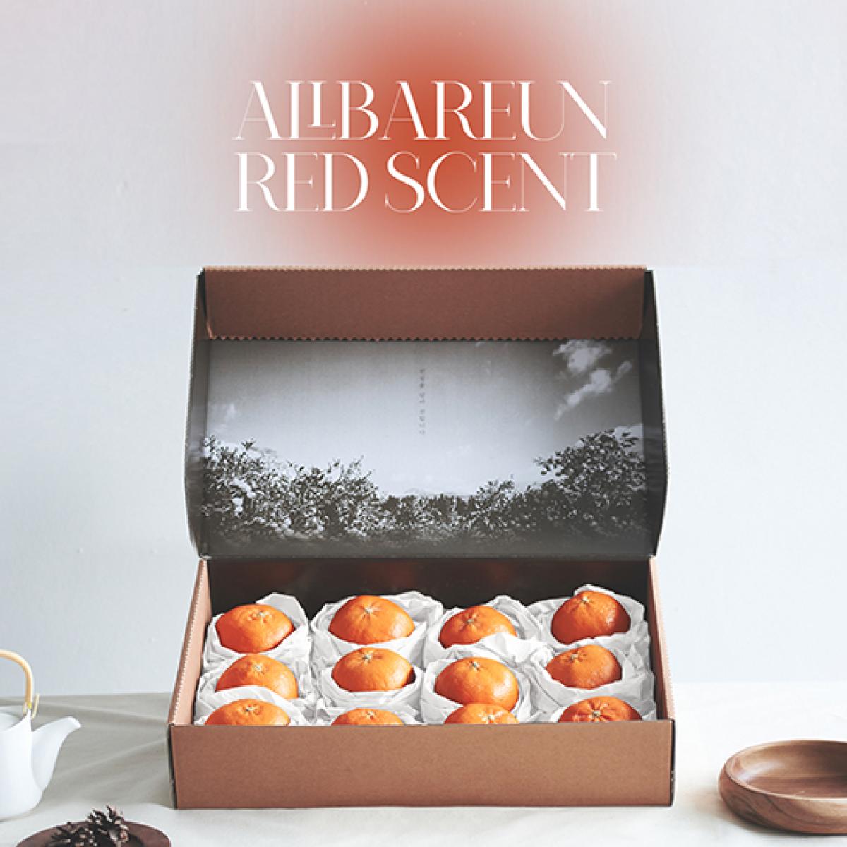 [프리미엄]레드향 선물세트