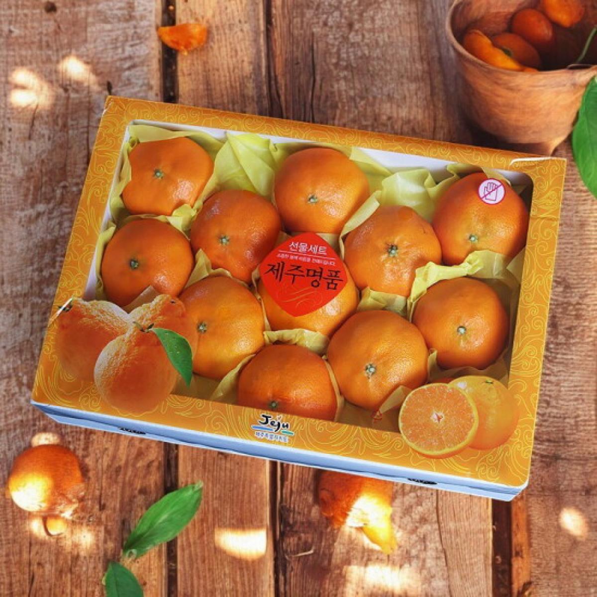 <현가원> 천혜향 3kg/5kg(선물용)