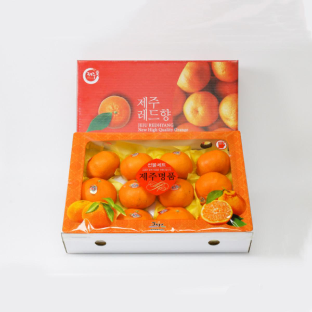 선물고팡 제주 초고당도 명품 레드향 3kg, 5kg