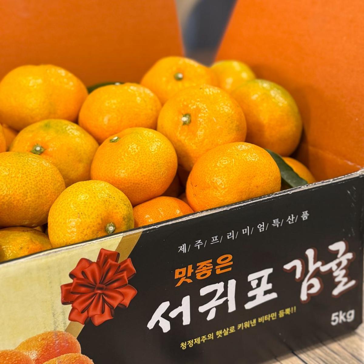제주 감귤 노지 유라조생귤 서귀포 산지직송 유진팡