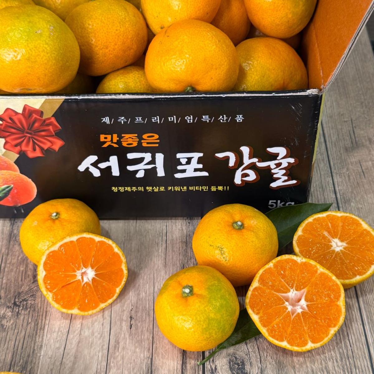 제주 감귤 노지 유라조생귤 서귀포 산지직송 유진팡