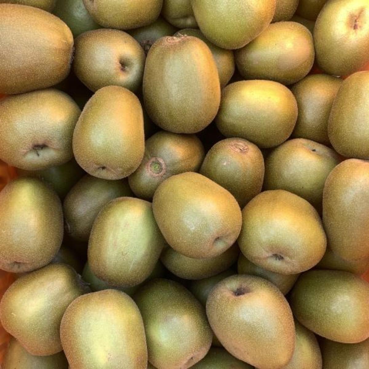 제주 레드키위 고당도 3kg 5kg 산지직송