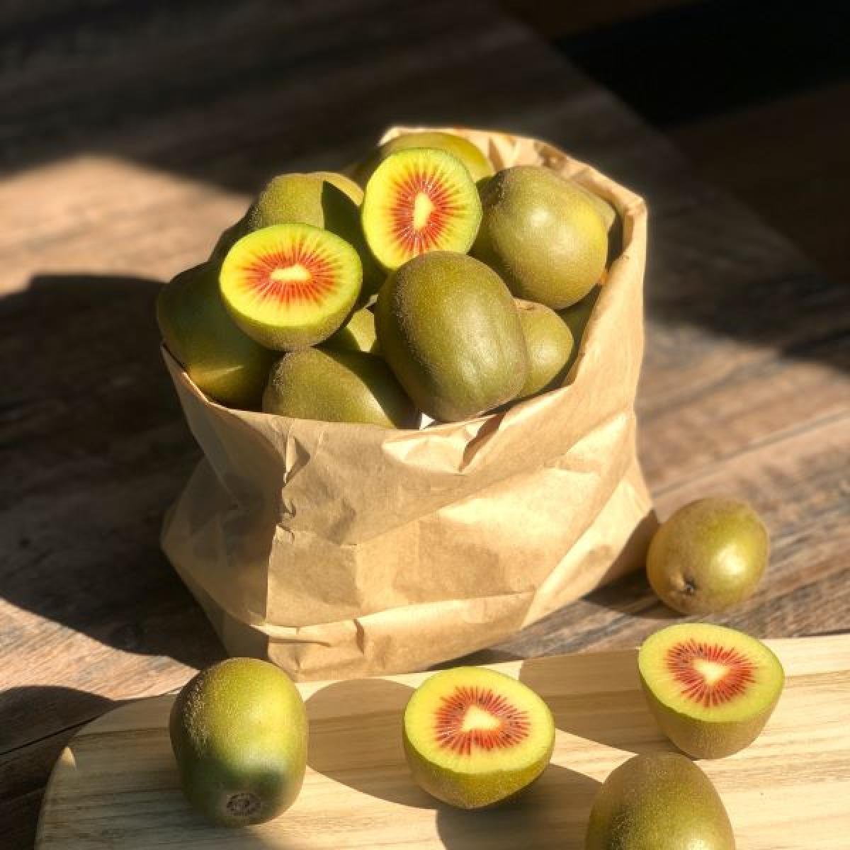 제주 레드키위 고당도 3kg 5kg 산지직송