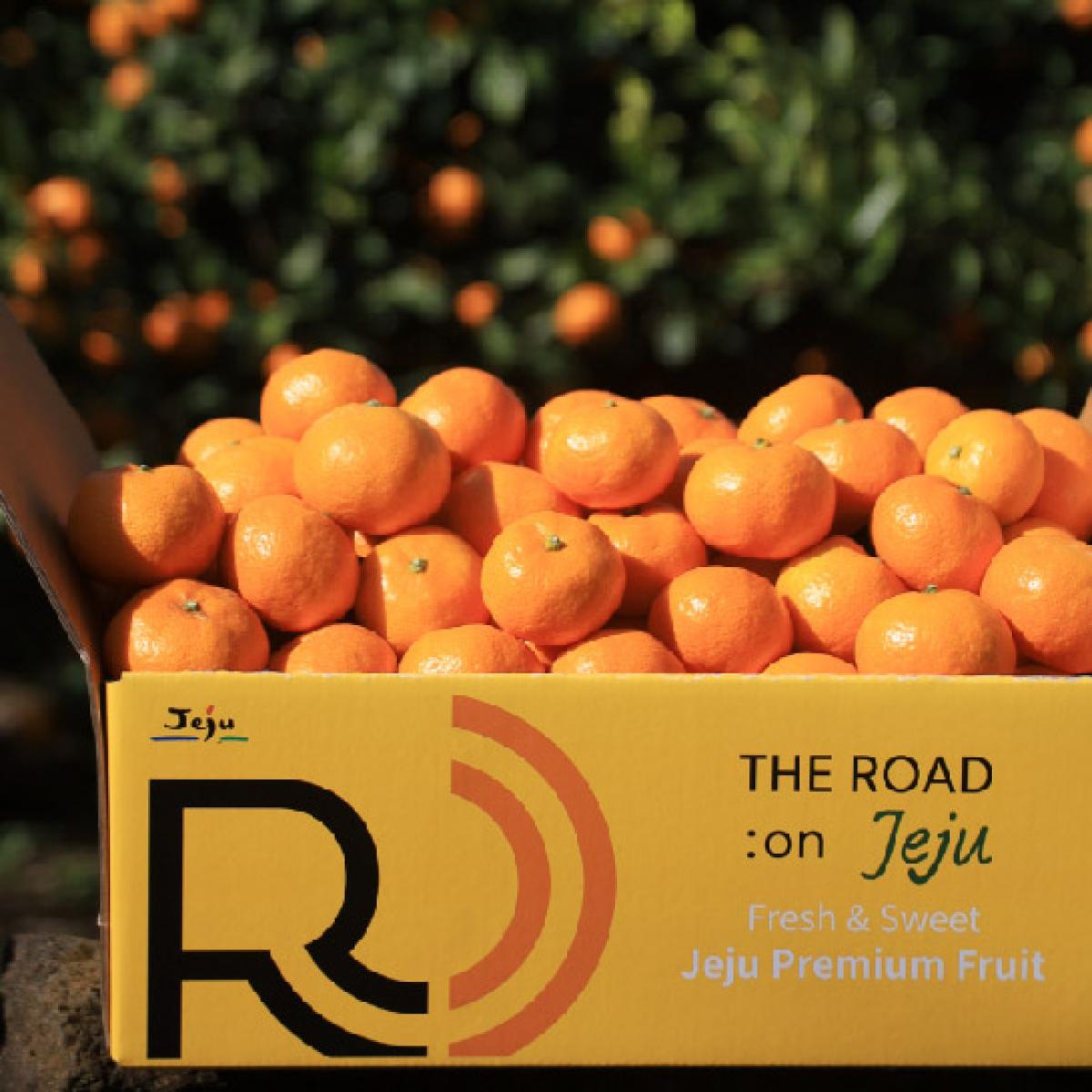 [로드제주]타이벡 감귤(14브릭스 보장 고당도)