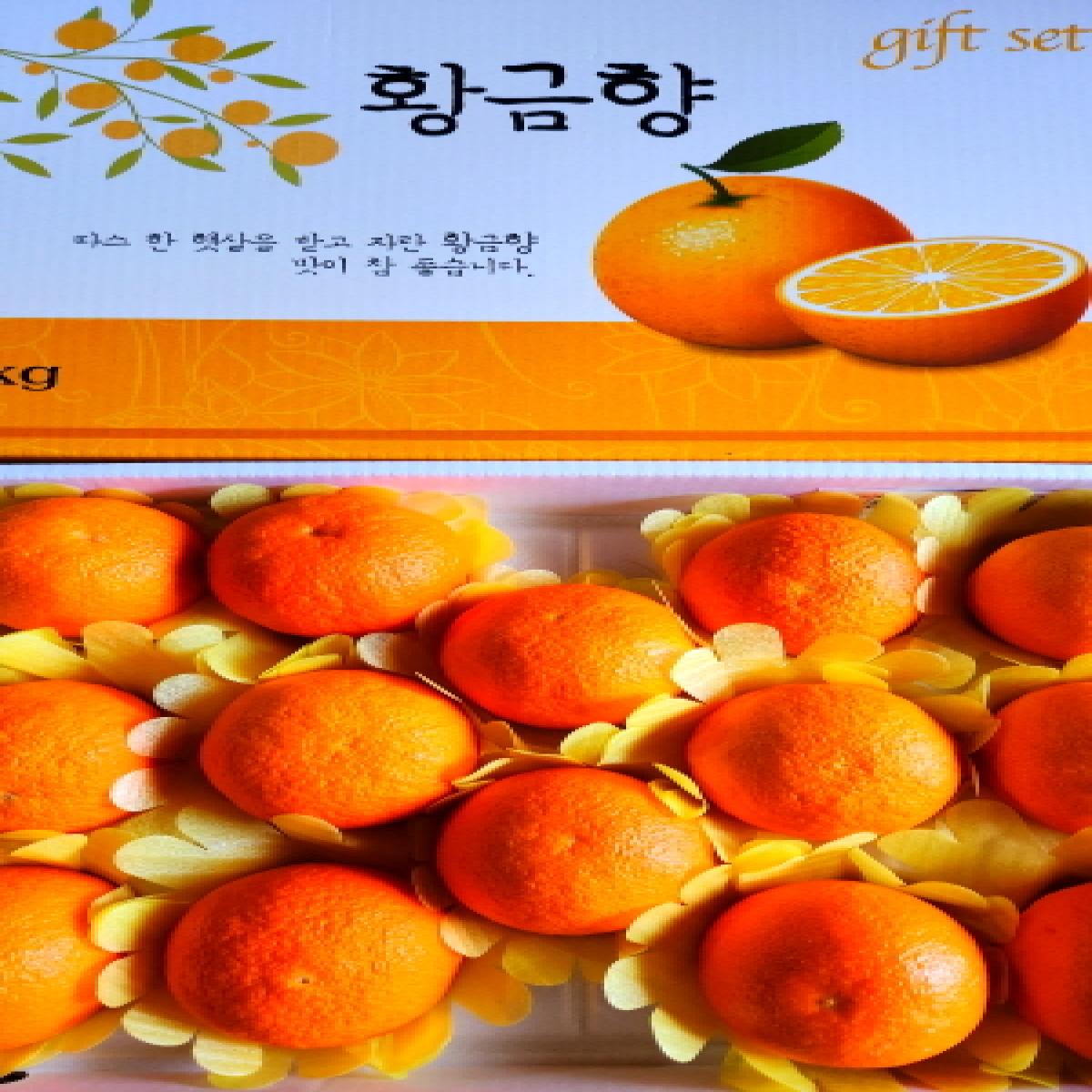 [드림농원]하우스 황금향