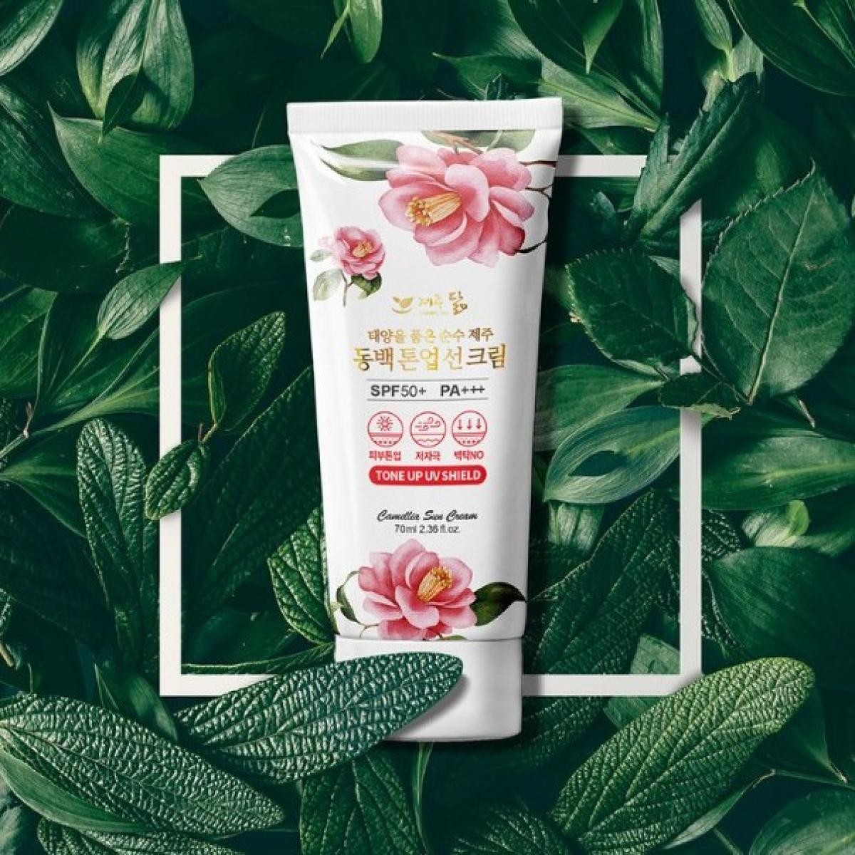 제주닮 동백 톤업 선크림 50ml 선블럭 제주선물 특산