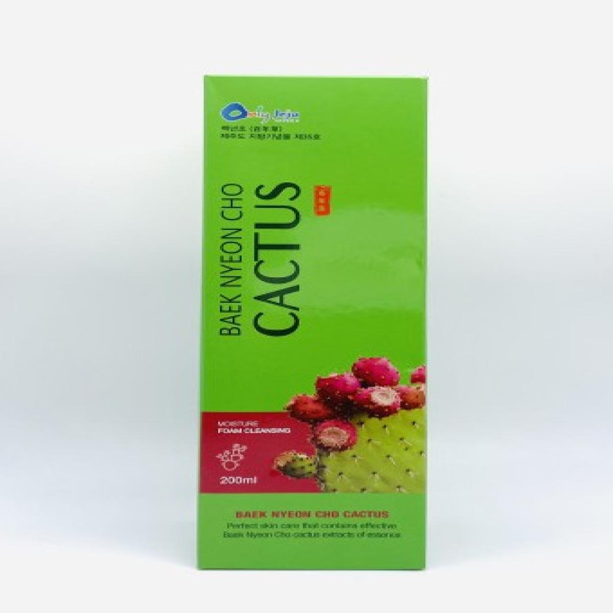 제주 백년초 선인장 폼클렌징 200ml 아일랜드스토리