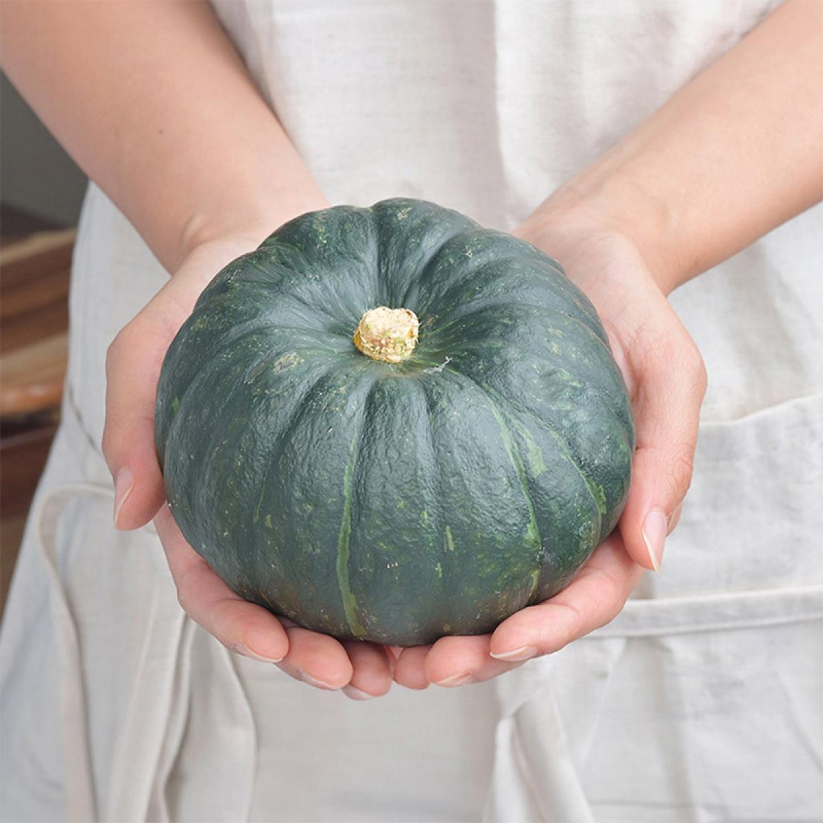 제주 미니 단호박 보우짱 특품 2kg (3-7개) 외