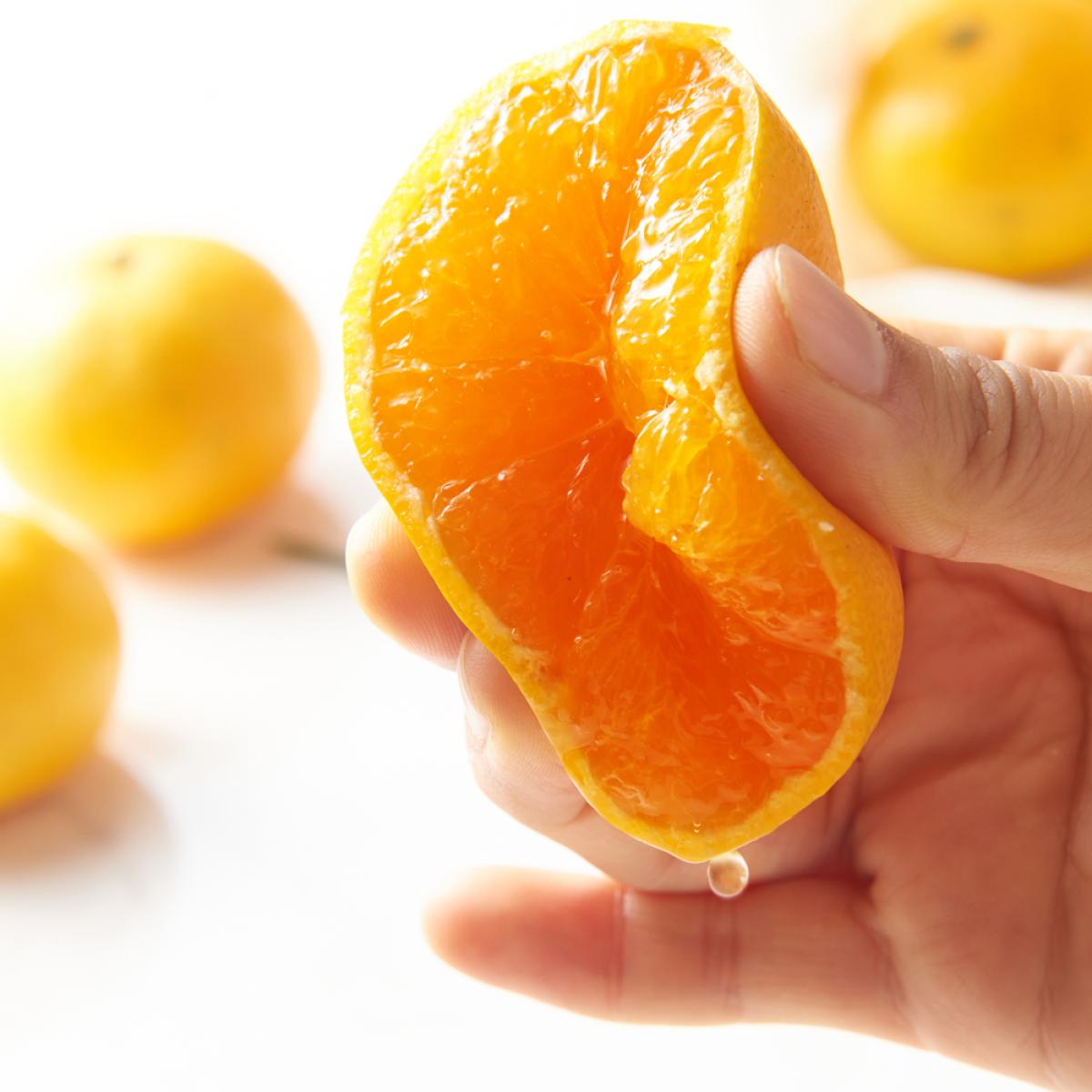 아삭한 식감 올바른 이와사키 노지귤 3kg/5kg