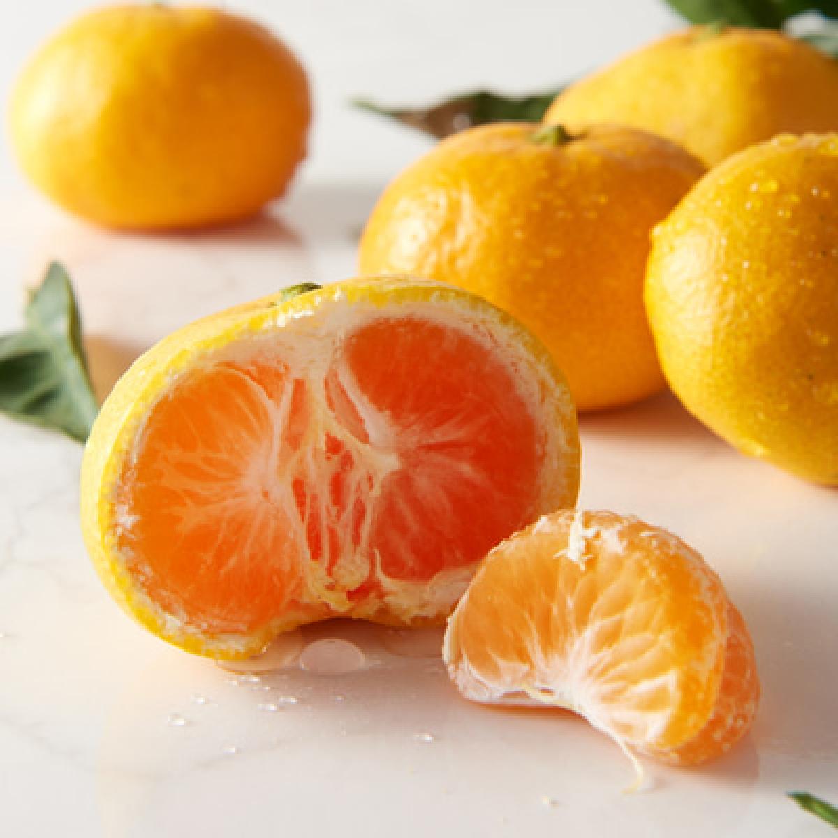 아삭한 식감 올바른 이와사키 노지귤 3kg/5kg