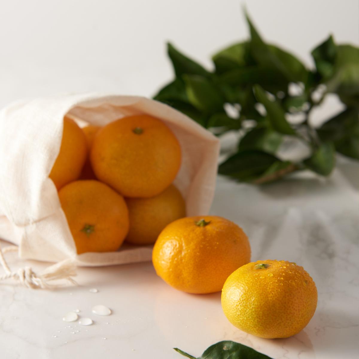 아삭한 식감 올바른 이와사키 노지귤 3kg/5kg