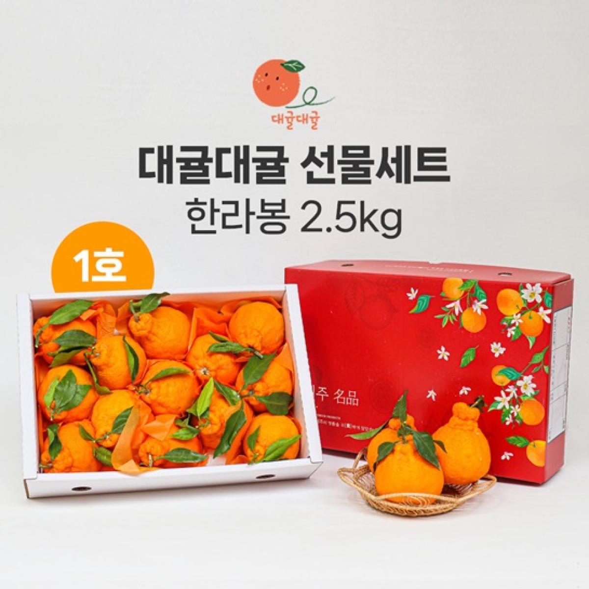 [대귤대귤] 제주 프리미엄 한라봉 선물세트