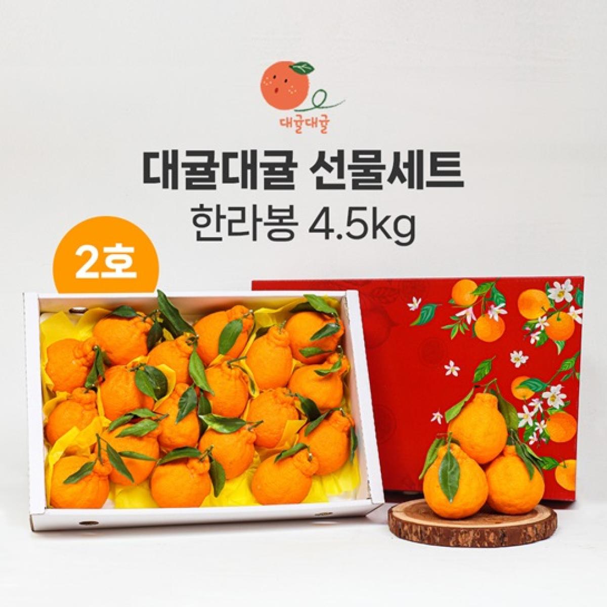 [대귤대귤] 제주 프리미엄 한라봉 선물세트