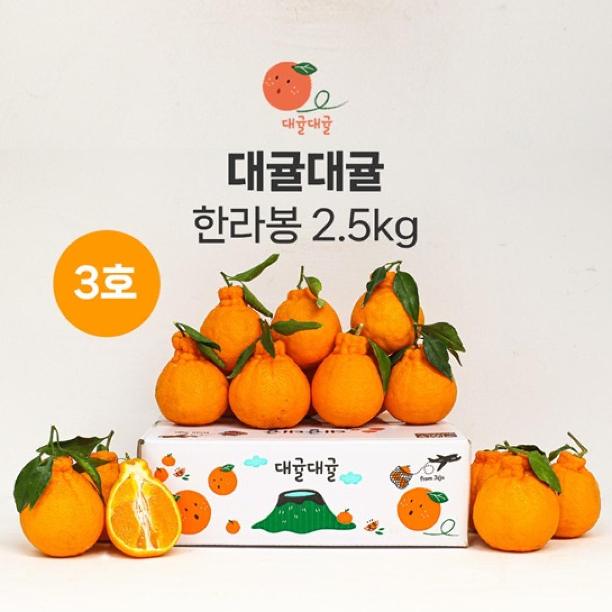 [대귤대귤] 제주 프리미엄 한라봉 선물세트