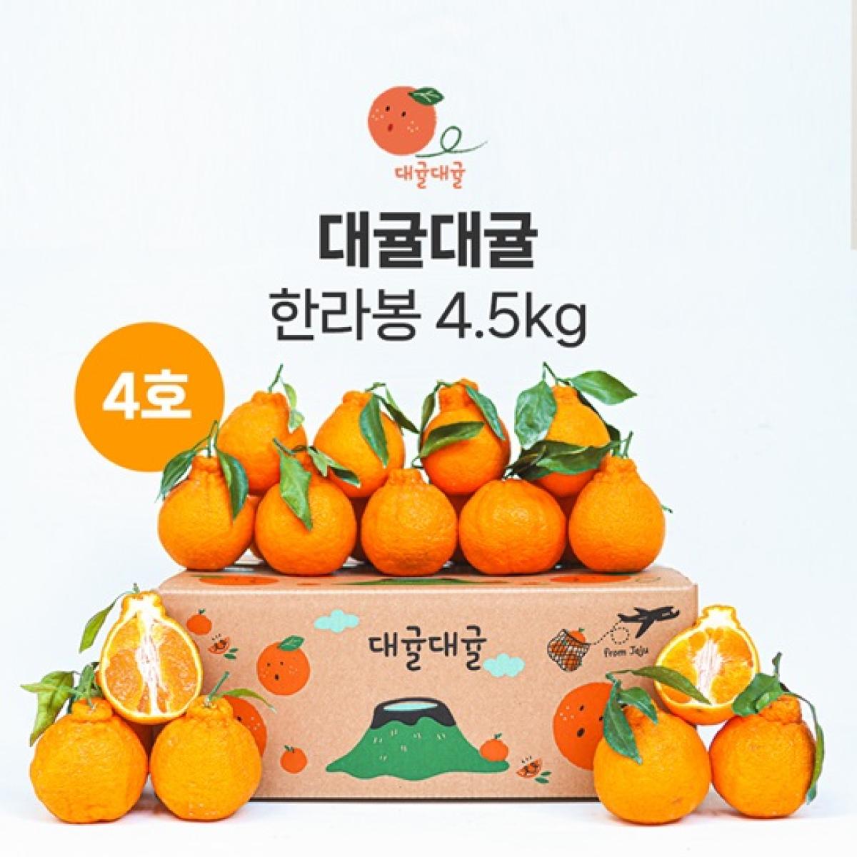 [대귤대귤] 제주 프리미엄 한라봉 선물세트