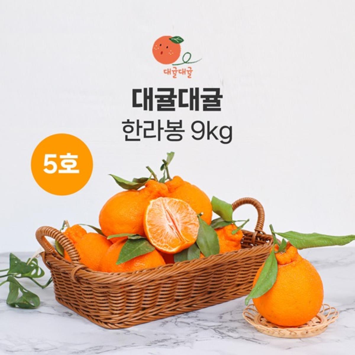 [대귤대귤] 제주 프리미엄 한라봉 선물세트