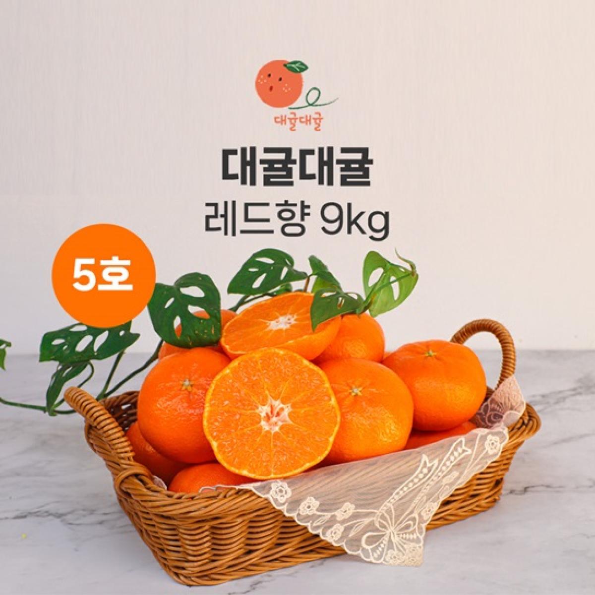 [대귤대귤] 프리미엄 레드향 선물세트