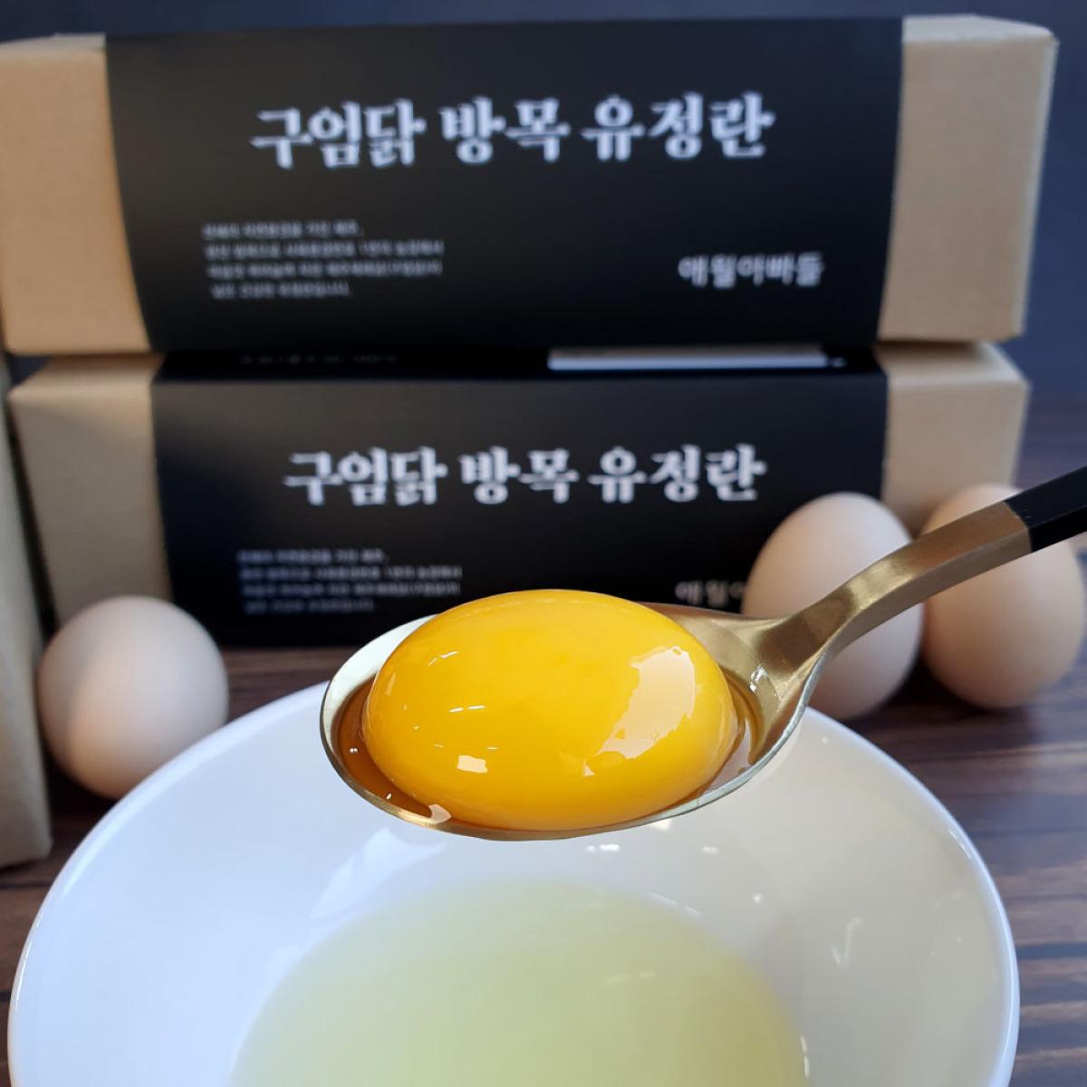 난각1번 무항생제 제주 구엄닭 방목 유정란