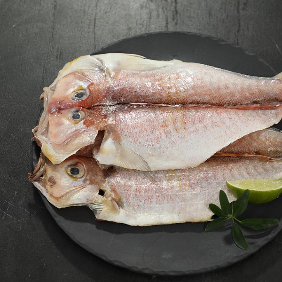 제주어가 특대왕 옥돔 (마리당 290g이상)