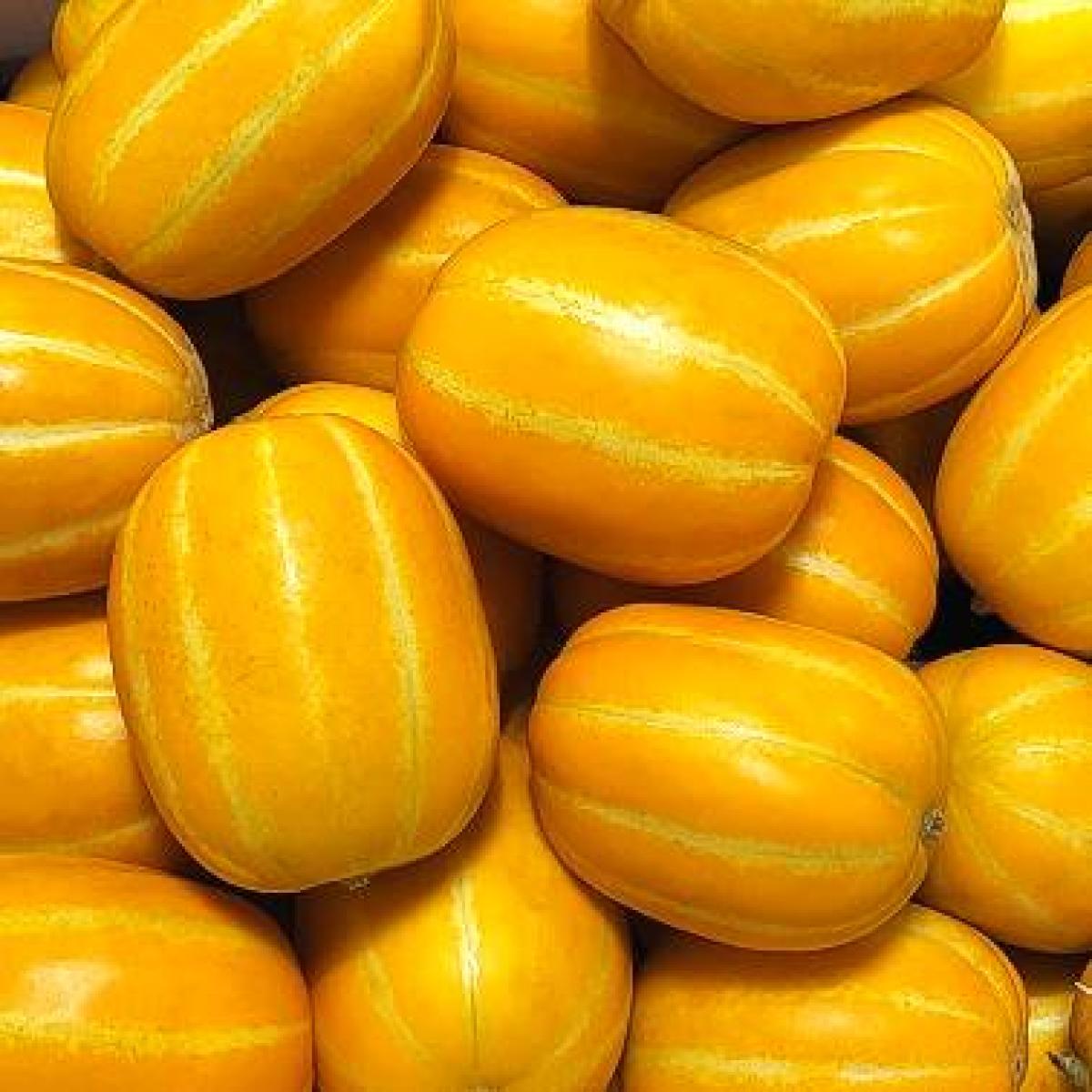 [고당도] 성주 꿀 참외 가정용 2kg 3kg 5kg