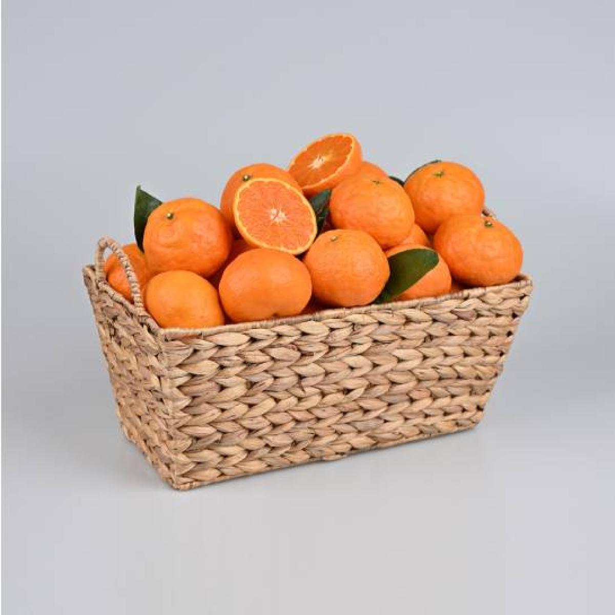 서귀포in정 카라향 실속형 2.5kg 4.5kg