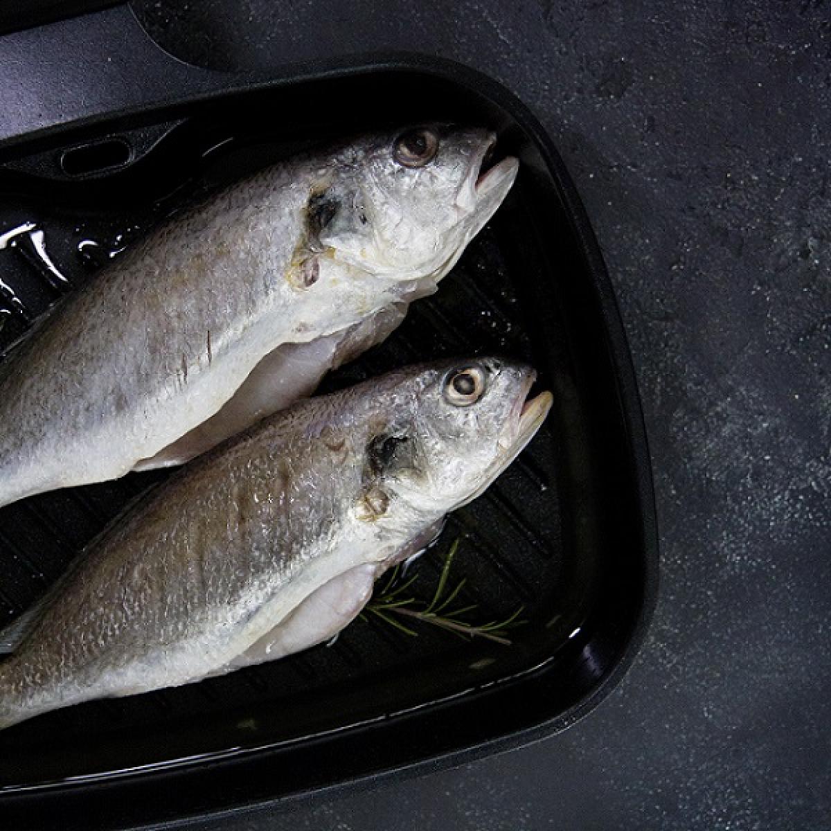 제주어가 백조기 750g(팩당 750g실링/3-4마리)