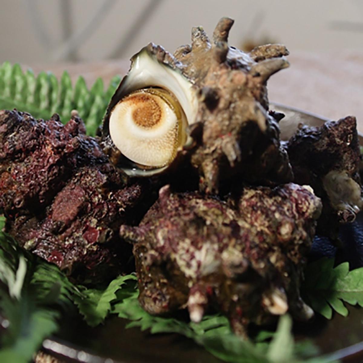 서귀포수협 제주 자연산 손질 뿔소라(자숙) 500g