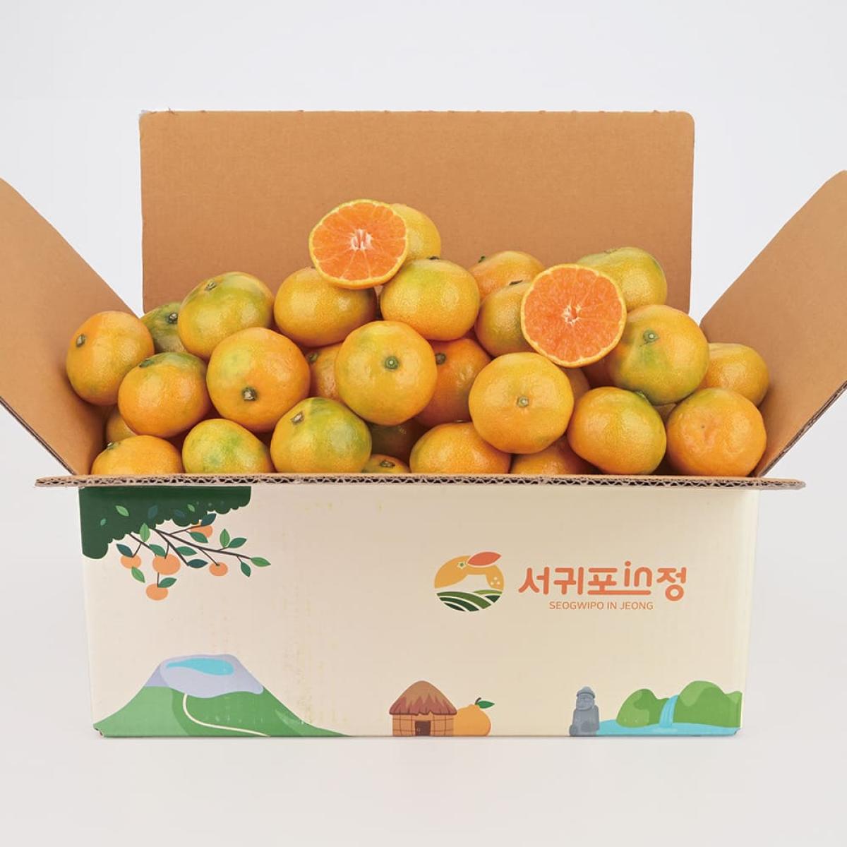 제주 고당도 하우스감귤 1.5kg 중대과/로얄과 외