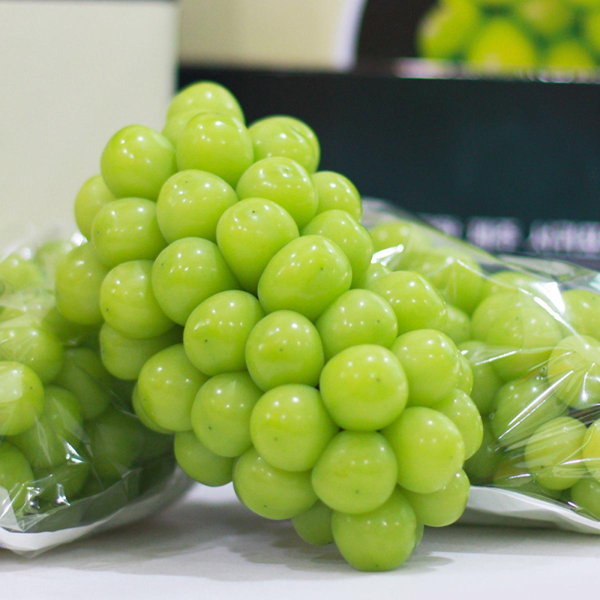 제주 프리미엄 샤인머스켓 특품 1.5kg 2kg