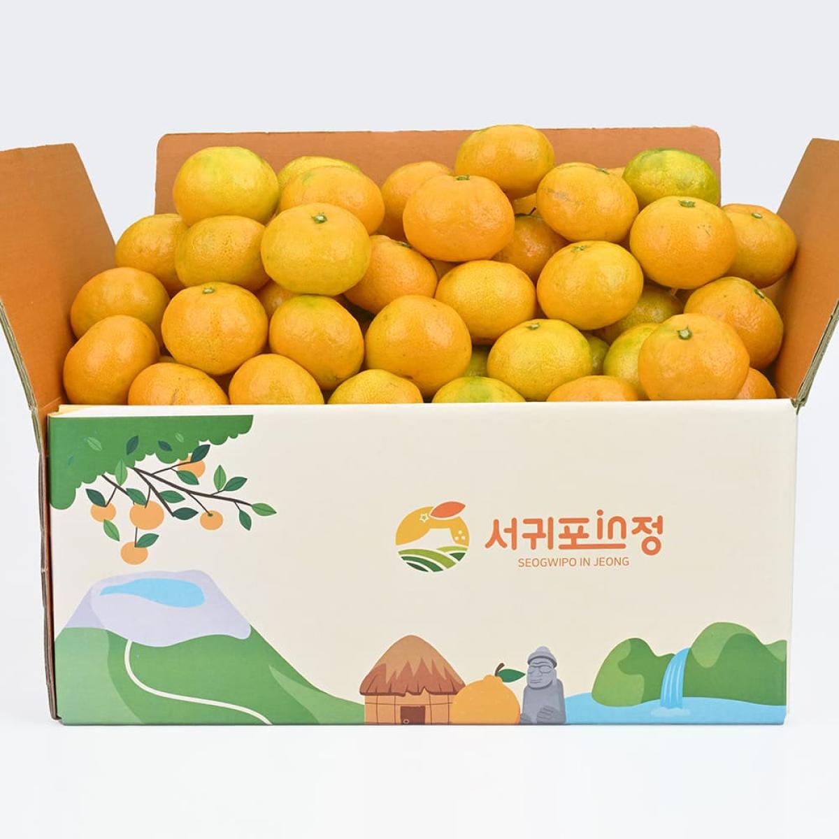 제주 햇조생 노지감귤 로얄과(2S-M) 2.5kg 외
