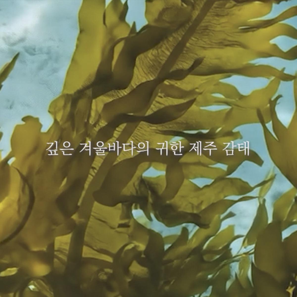 몽돌비누 3종세트