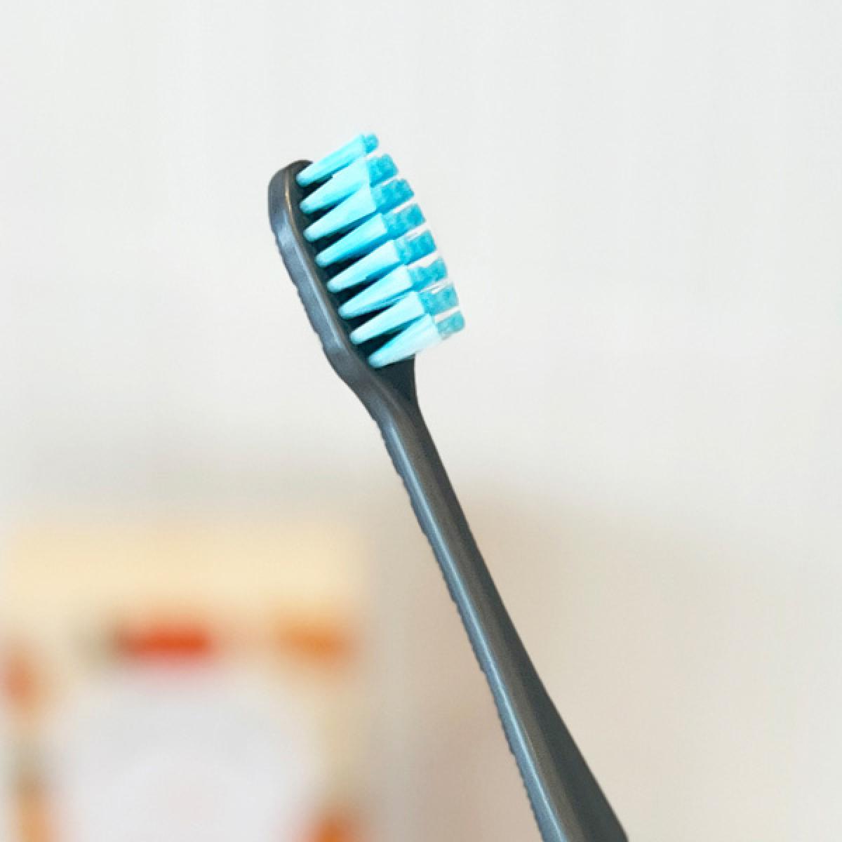 제주하우스 치약이 묻어 있는 여행용 칫솔