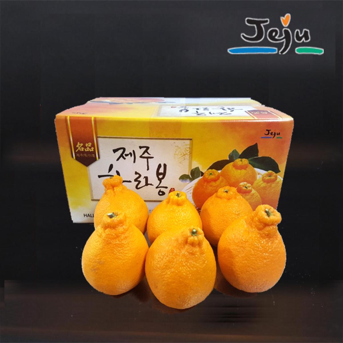 <현가원>한라봉7KG/10kg(가정용)