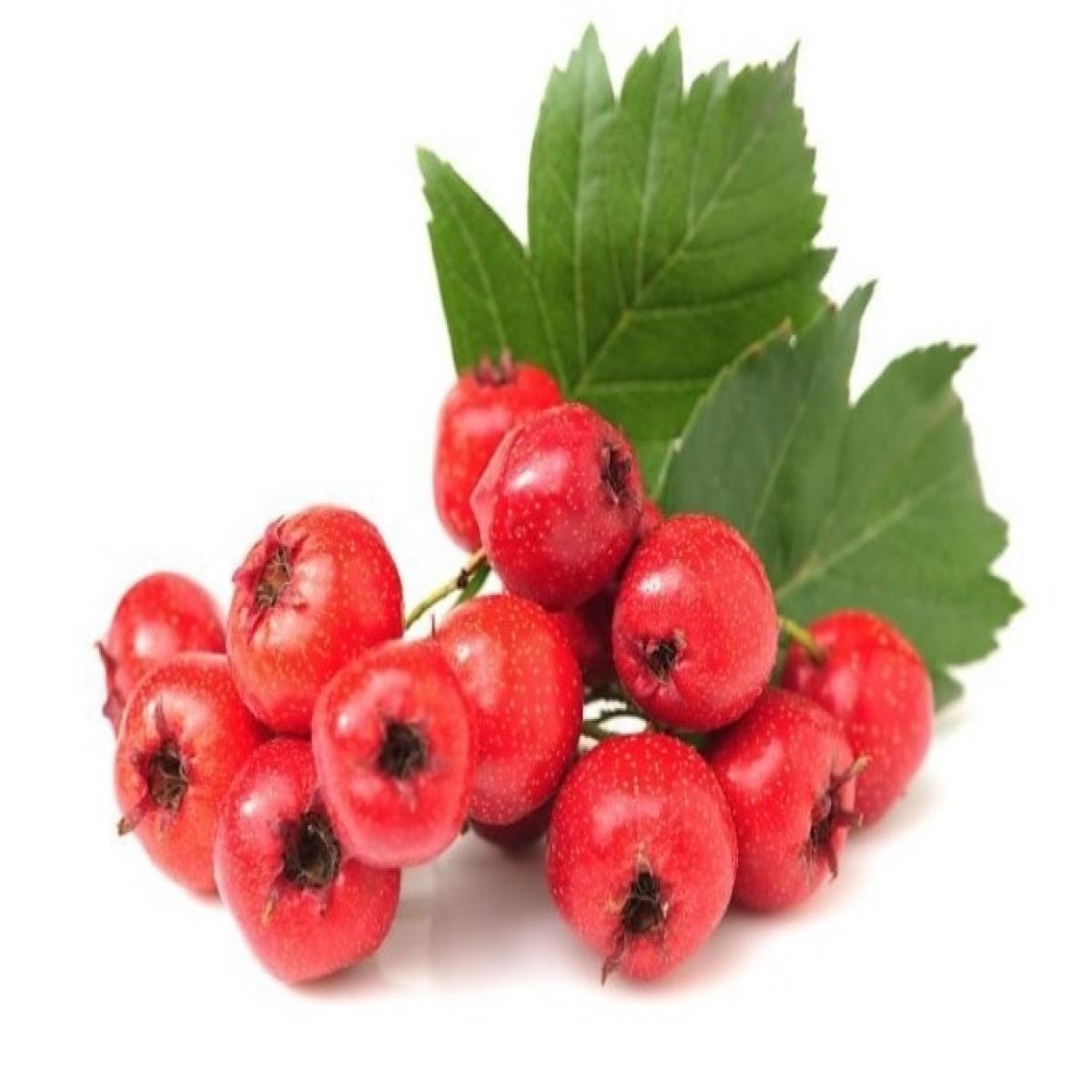 팔팔아가위진액 100mlx60포