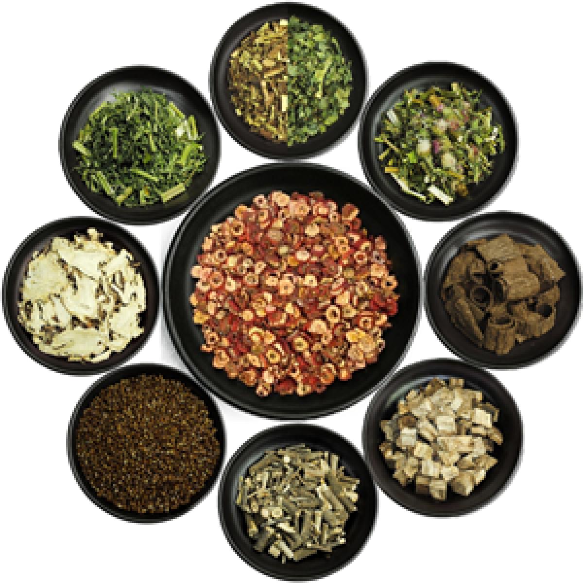 팔팔아가위진액 100mlx60포