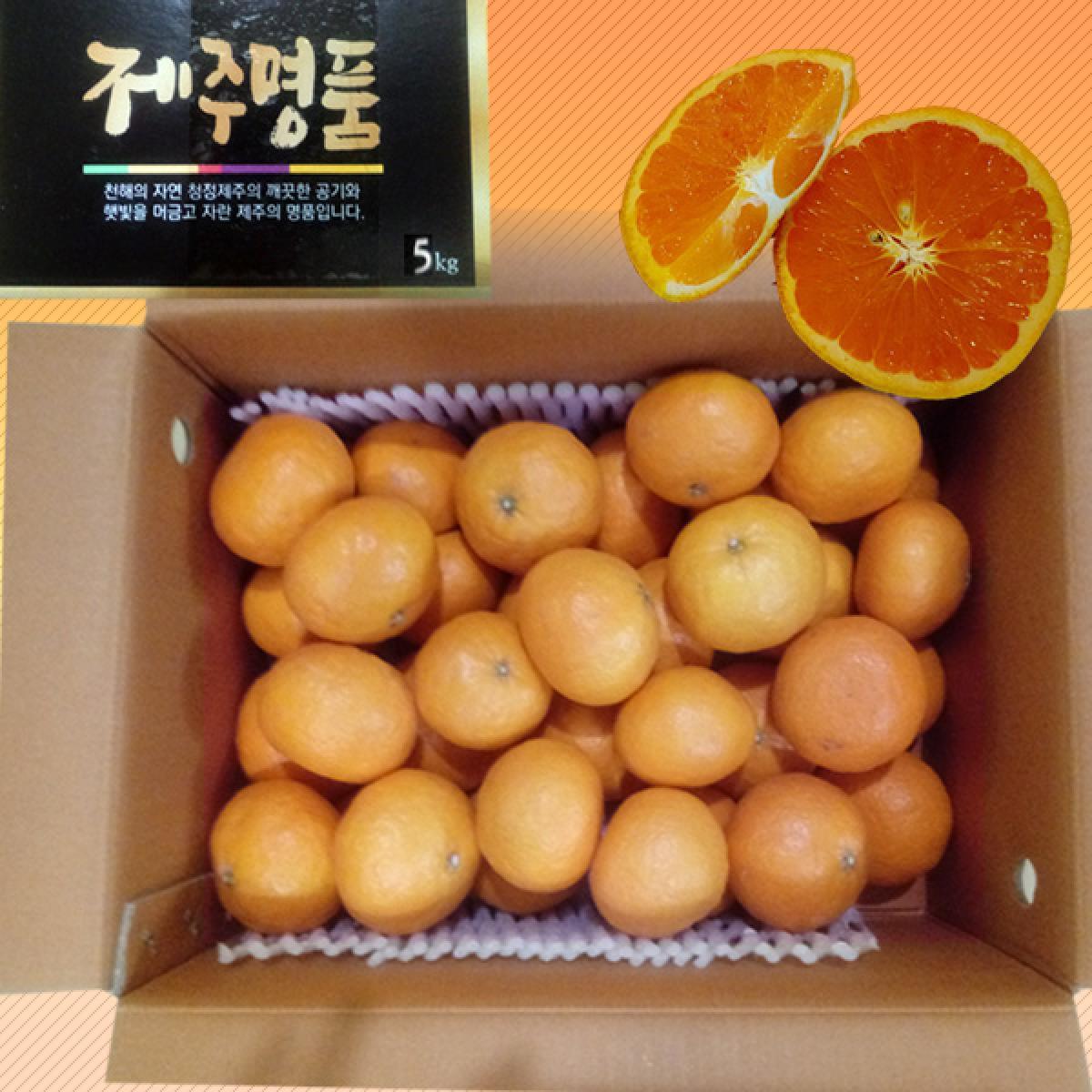 <현가원>귤로향(카라향)가정용 2kg/3kg/5kg