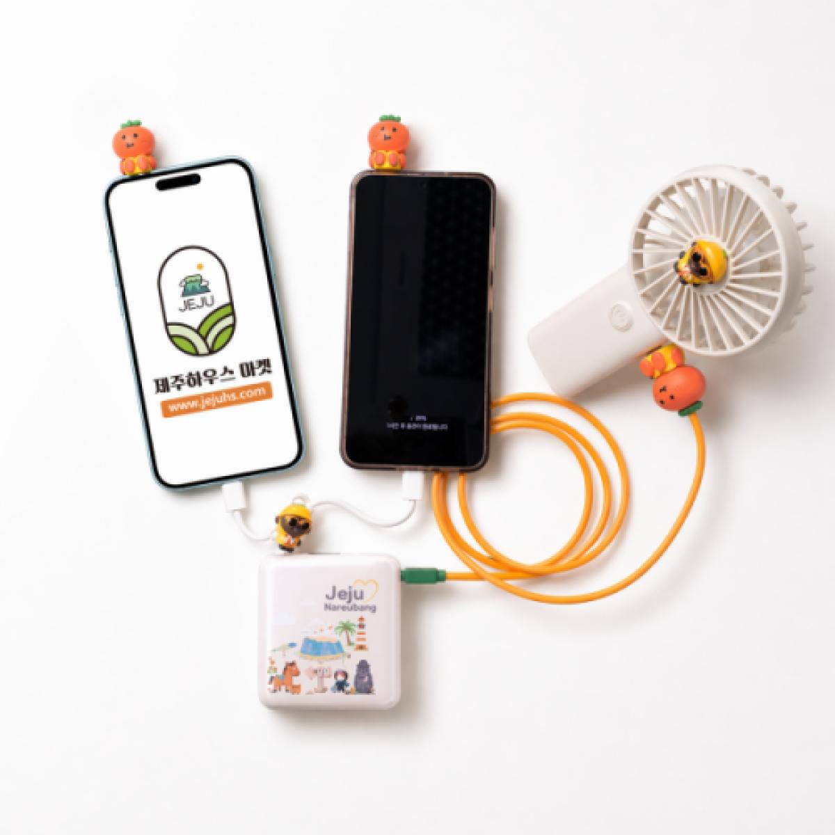 제주하우스 나르방 고속 보조배터리 10000mAh